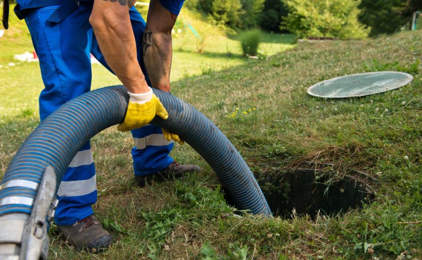W jaki sposób skutecznie troszczyć się o naturę? Praktyczny instrukcja na temat usuwania zanieczyszczeń a także kontrolowaniu nieczystościami